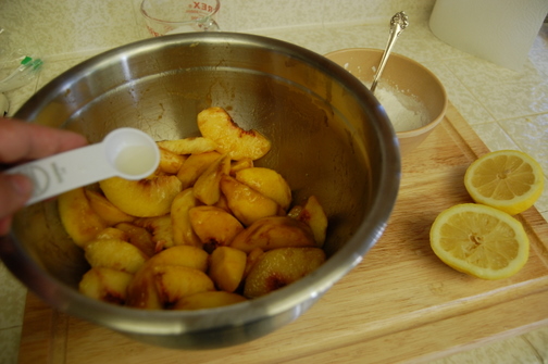 Vanilla Scented All Peach Pie